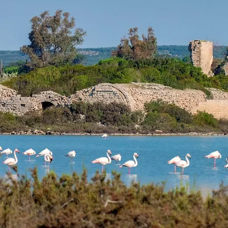 Casa vacanze Casa Tulipano 2 Dx A Torre Colimena
