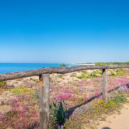Casa Tulipano 2 Dx A Casa vacanze Torre Colimena