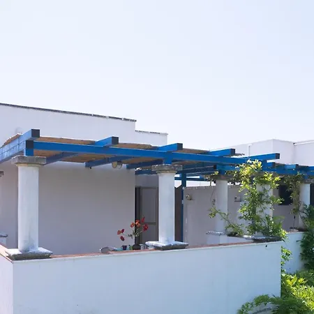 Casa vacanze Casa Tulipano 2 Dx A *