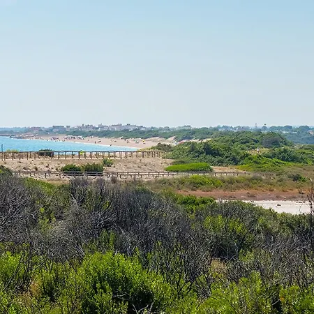Casa vacanze Casa Tulipano 2 Dx A Torre Colimena